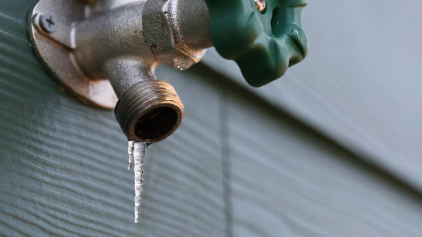 Best Sprinkler Systems  in Scottsville, NY